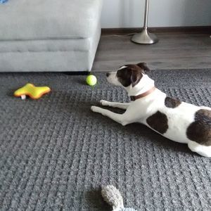 Meet your Posher, Deborah